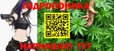 2c-b Новодвинск