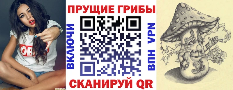 где можно купить   Александров  Псилоцибиновые грибы Psilocybine cubensis 
