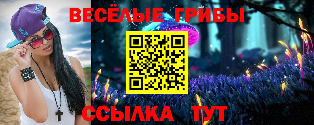 Александров  Псилоцибиновые грибы Psilocybine cubensis  Вход с VPN 