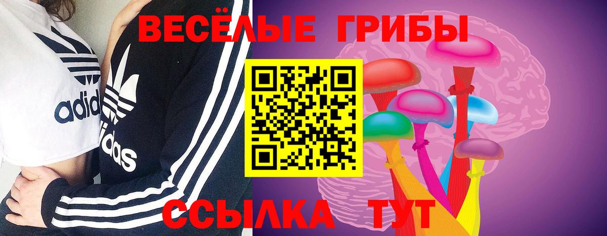 Псилоцибиновые грибы GOLDEN TEACHER Александров