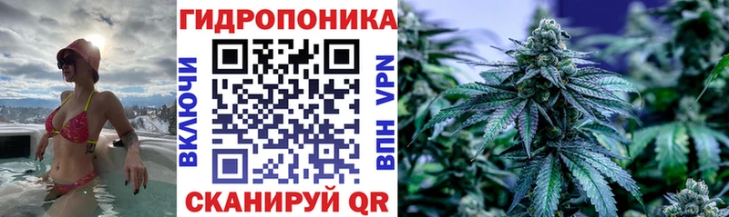 Бошки марихуана Amnesia  MEGA ссылка  Александров 